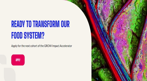 Grow Impact Accelerator Program